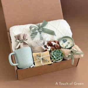 A Touch of Green - Cozy Self-Care Package with Blanket, Succulent, Herbal Tea, Candle, & More